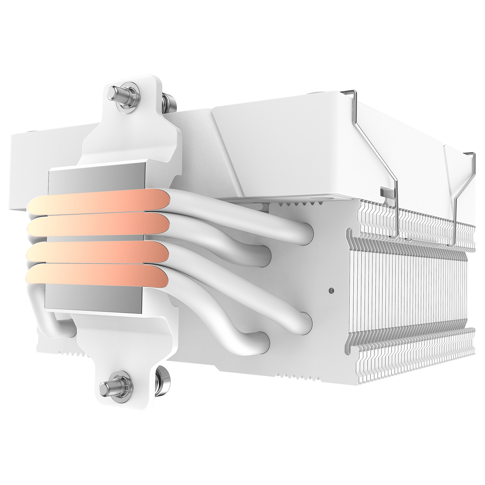 33700N6.jpg