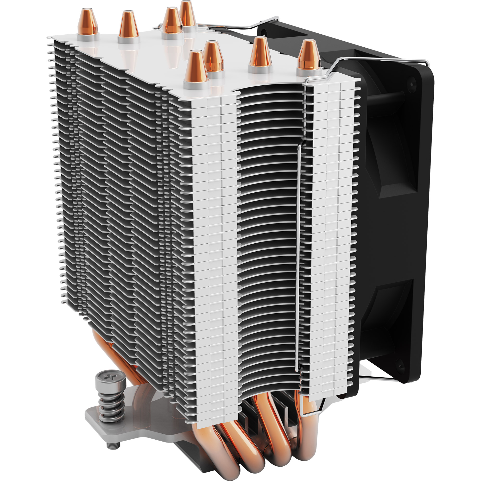 33700L3.jpg