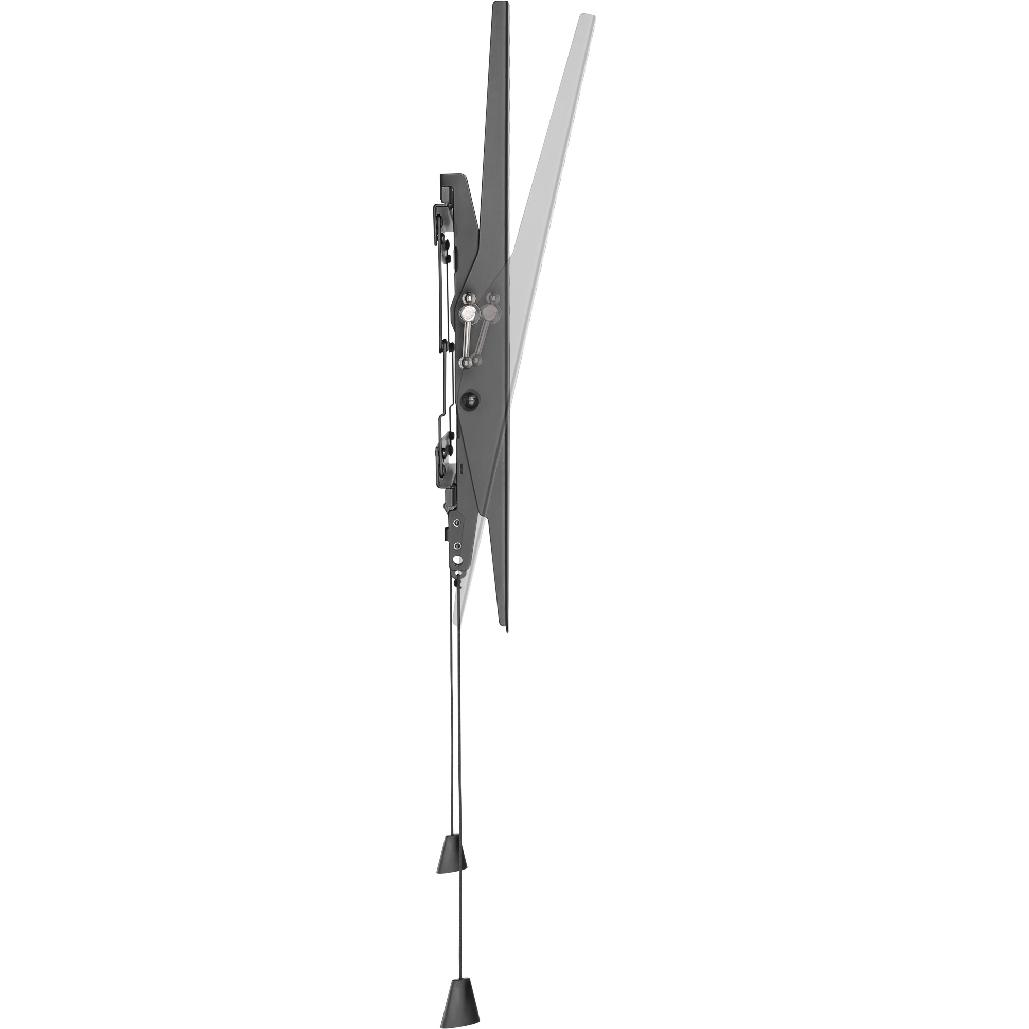 23101B5.jpg